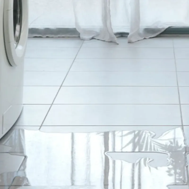 Appliance Leak Cleanup in Sedgwick County, KS