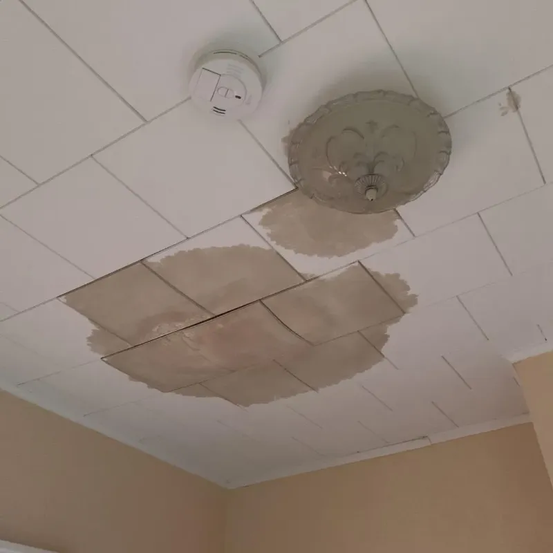 Ceiling Water Damage Repair in Sedgwick County, KS