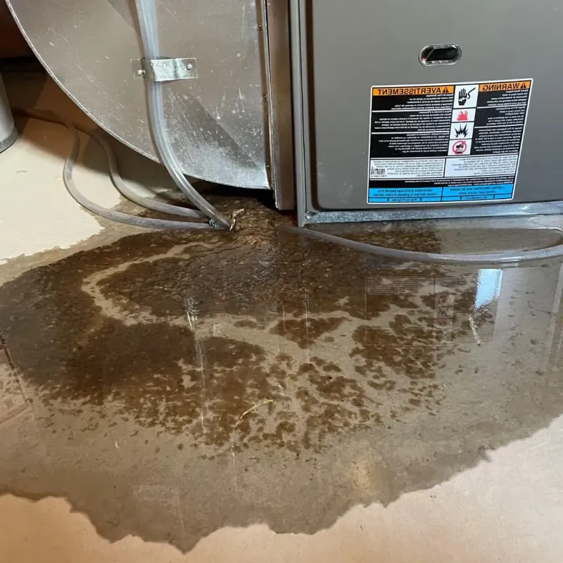 Pipe Burst and Leak Restoration in Sedgwick County, KS