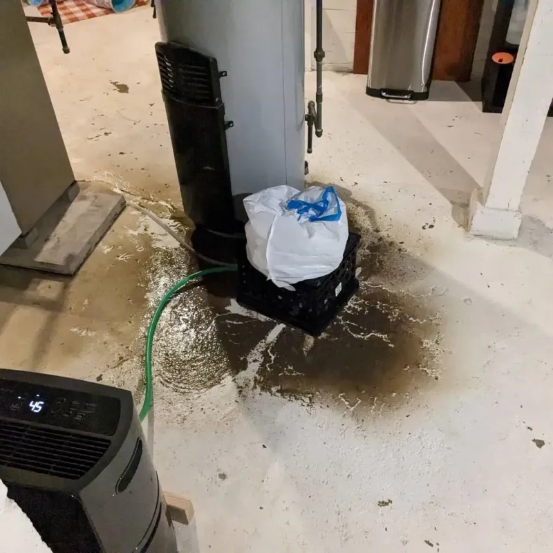 Sewage Backup Cleanup Service in Sedgwick County, KS